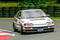 Honda Civics @ Cadwell Park 2014